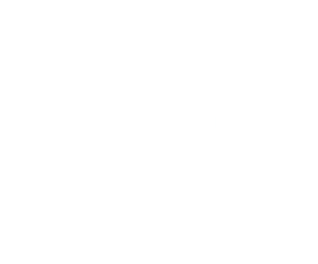 Chateau Fort Sedan