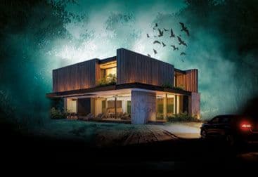 Image cannot be loaded